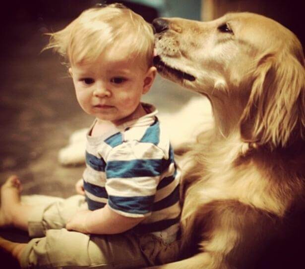 Tu mejor amigo también tiene conciencia