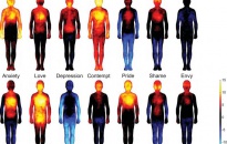 El mapa de las emociones humanas
