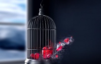 ¿Amor verdadero o dependencia emocional?