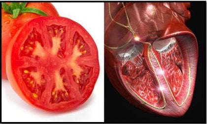 Los susurros de la naturaleza Tomate-y-corazón-420x253