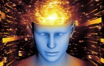 Neuroplasticidad: ¿Hasta qué punto es flexible nuestro cerebro?