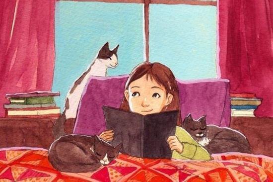 libros libros