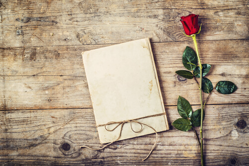 Hojas blancas y rosa roja para escribir una carta