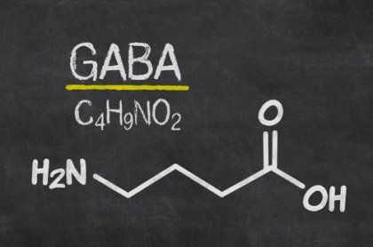 Gaba El Neurotransmisor De La Calma Y La Relajaci N La Mente Es