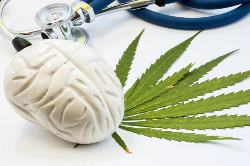 Los Efectos Del Cannabis En El Cerebro A Largo Plazo La Mente Es