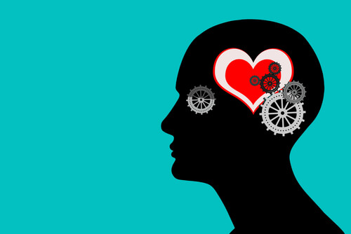 Cabeza y emociones básicas