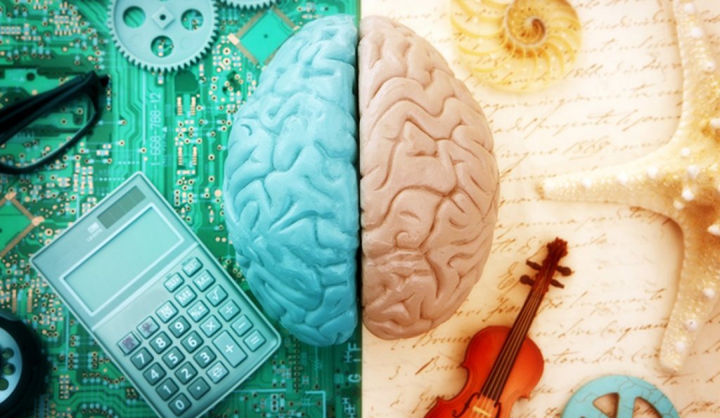 Hemisferios cerebrales