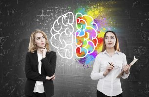 Hemisferio cerebral del cerebro