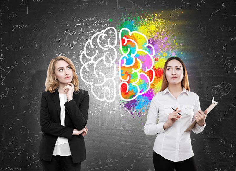 ¿Qué hemisferio cerebral domina tu vida?