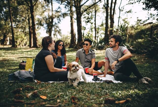 Grupo de amigos disfrutando la vida con calma