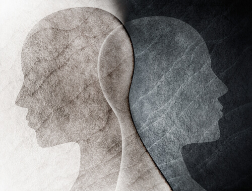 Two profiles intertwined by synchronicity