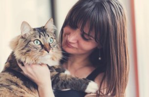 Psicología felina