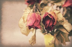 Olvidar un gran amor
