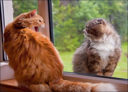 ¿Hay que mantener cerca a nuestros enemigos?