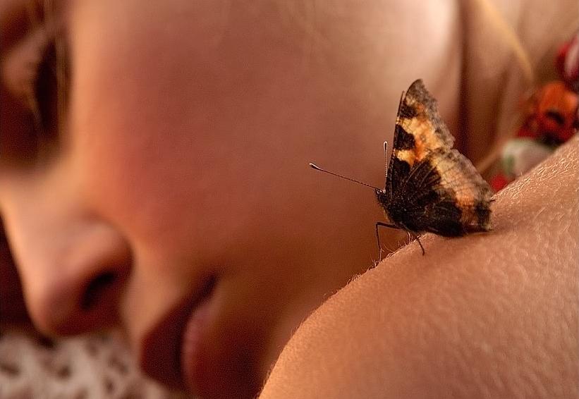 Mariposa en el hombro de una persona