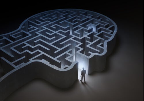 Uomo di fronte alla testa a forma di labirinto.