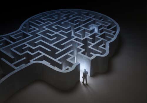 Uomo di fronte alla testa a forma di labirinto.