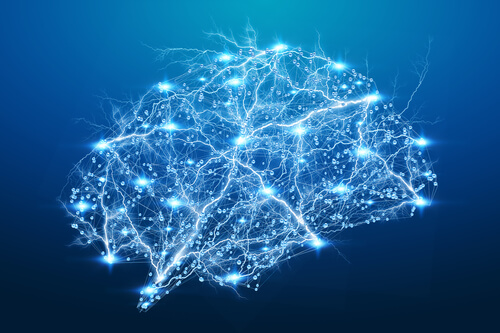 Cerebro iluminado