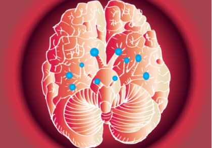 Hemisferios cerebrales y personalidad: ¿Un mito se derrumba?