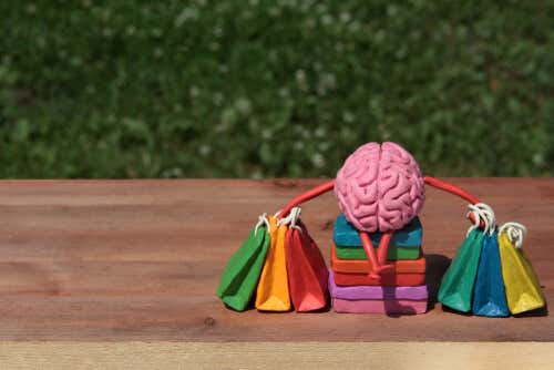Cerebro con bolsas de compras sabias