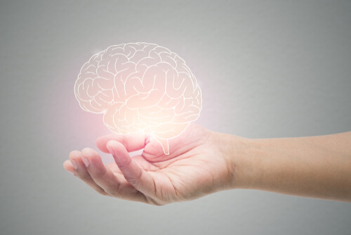 La habilidad del cerebro para seguir aprendiendo