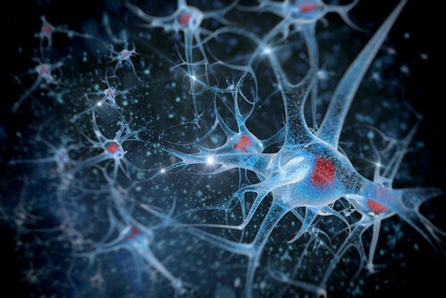 Synapser i hjerne