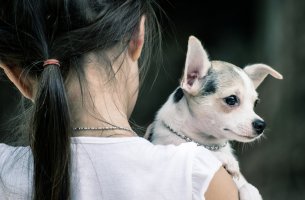 Abrazando a tu mejor amigo