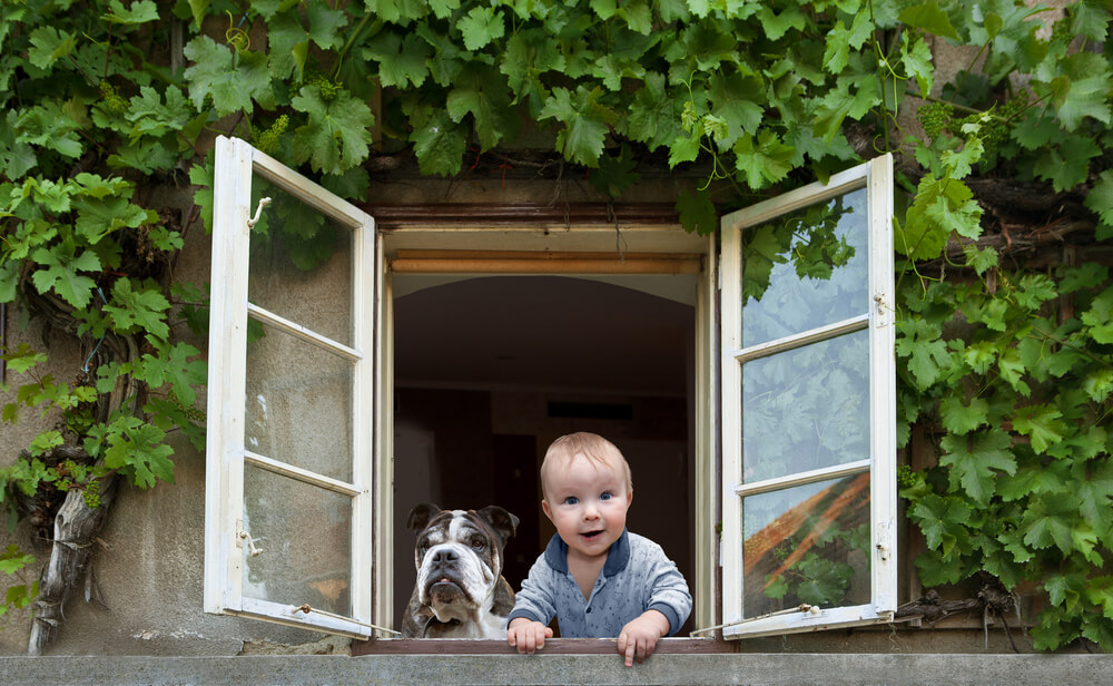 Niño en la ventana con su perro