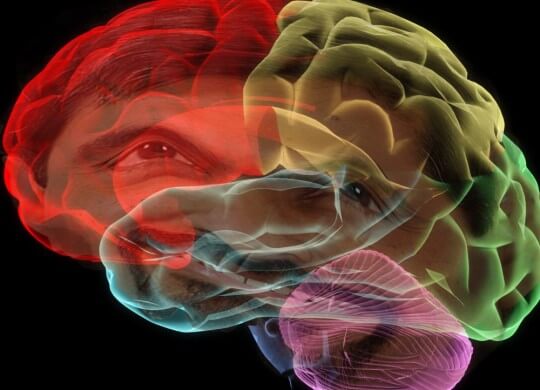 Cerebro representando por qué olvidamos algunos de nuestros sueños