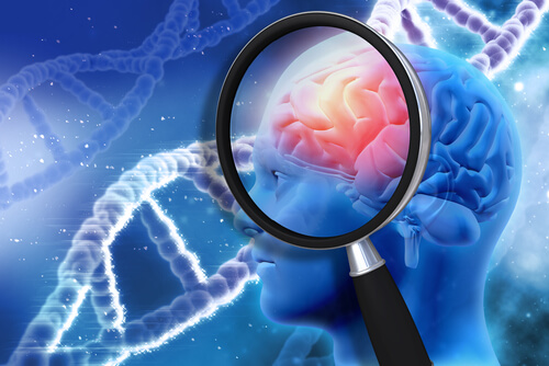 ¿Es verdad que sólo utilizamos el 10% de nuestro cerebro?