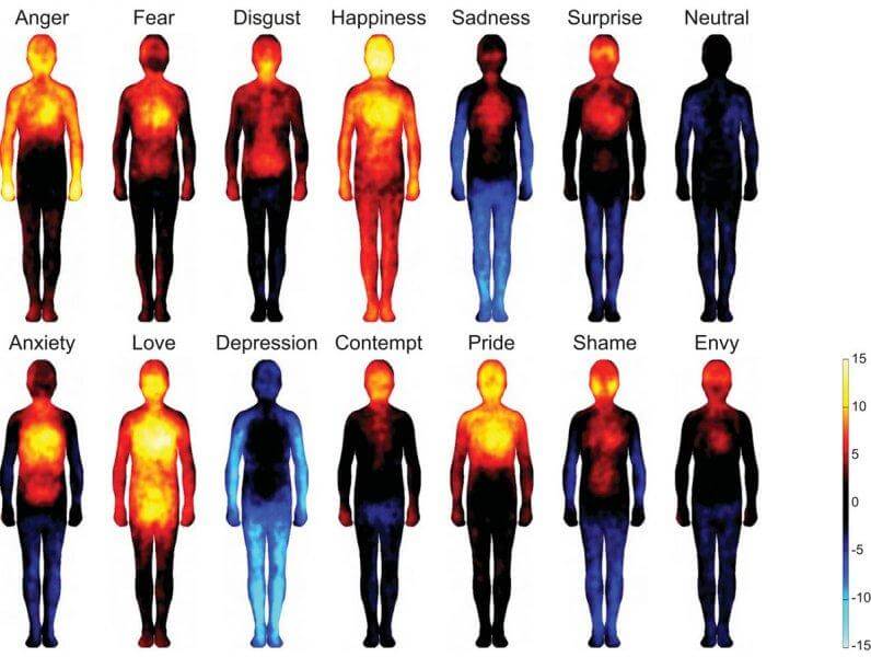 El mapa de las emociones humanas