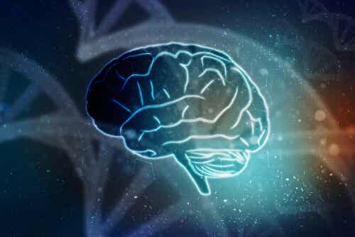 Mitos sobre el funcionamiento del cerebro y el aprendizaje