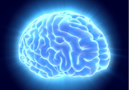 Cerebro iluminado con color azul