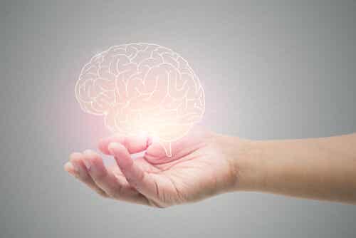 Ocho ideas sorprendentes sobre el funcionamiento de tu cerebro