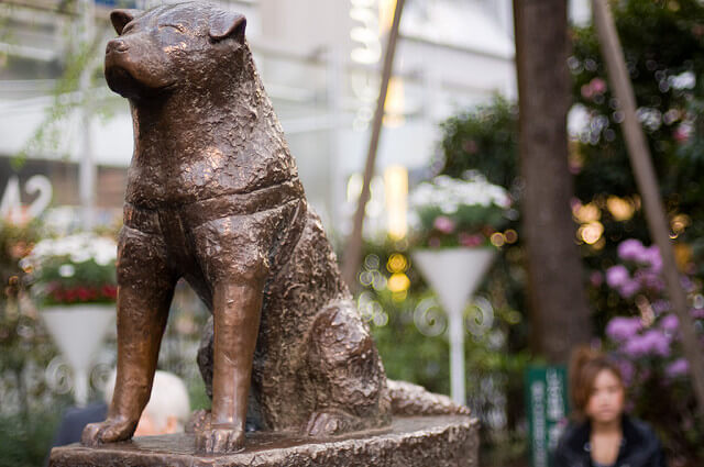 Estatua de Hachiko