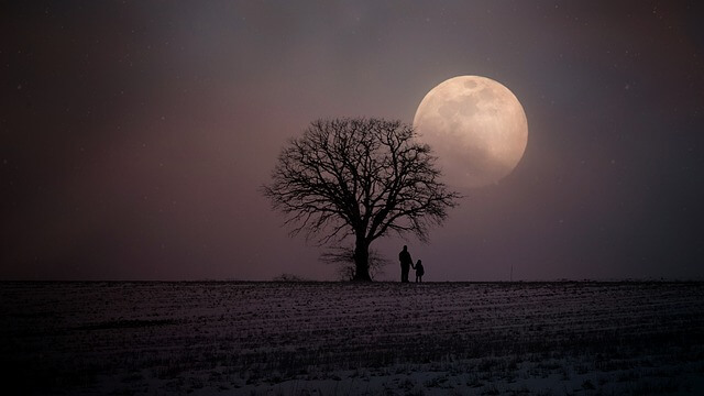 PErsonas mirando a la Luna