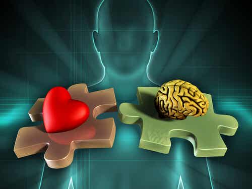 Corazón y cerebro en la inteligencia emocional representando la La entrevista de inteligencia emocional para líderes