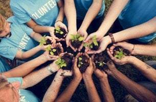 Beneficios del voluntariado en forma de manos con plantas