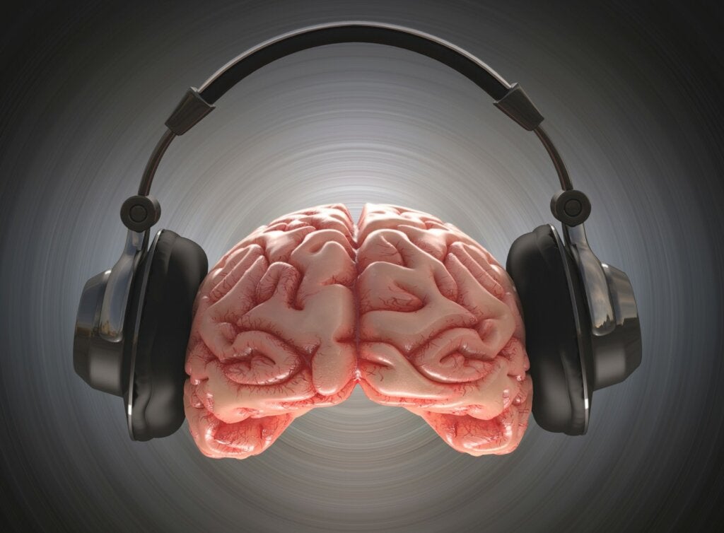 Cerebro cascos música