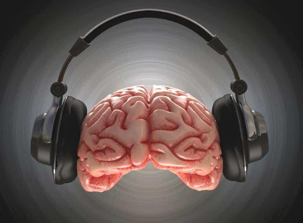 Cerebro cascos música