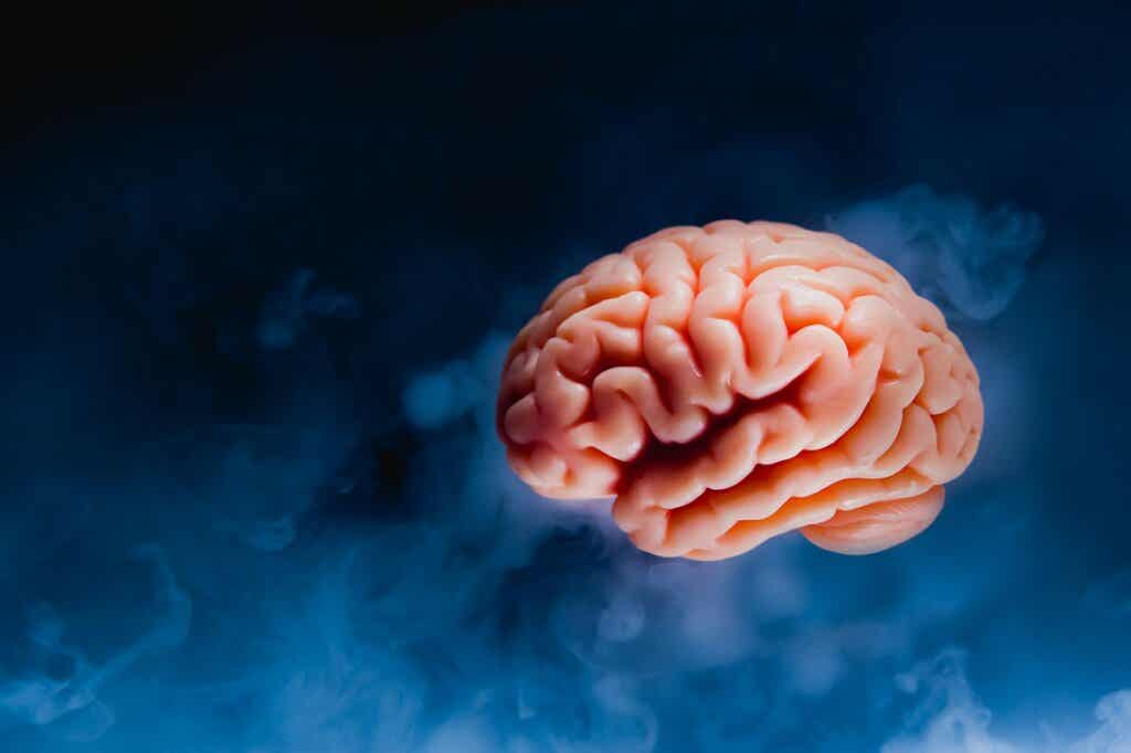 cerebro fondo azul oscuro representando la felicidad y su relación con el tamaño del cerebro