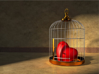 La jaula del amor o las relaciones de sobreprotección