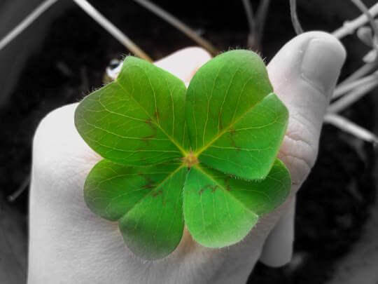 ¡Qué mala suerte tengo!