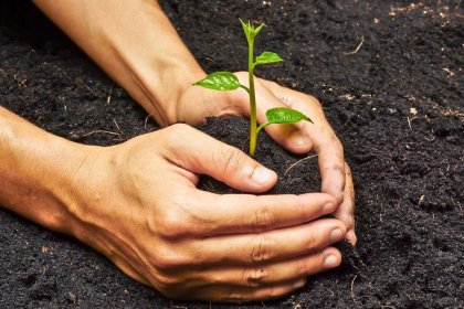 Ayudar a crecer