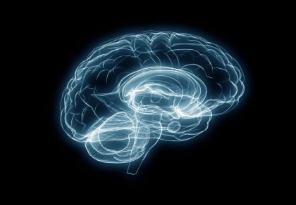 El cerebro ciego
