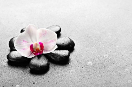 Un reto constante, las enfermedades crónicas