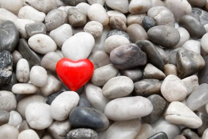 Amor con amor se paga