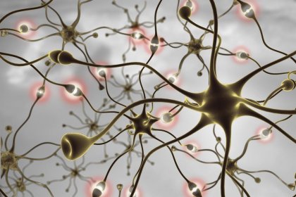 Saca partido a tu cerebro