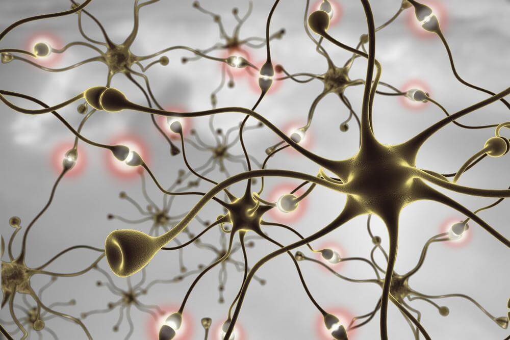 Saca partido a tu cerebro
