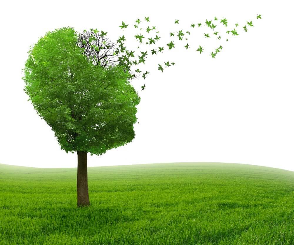 Árbol cabeza humana